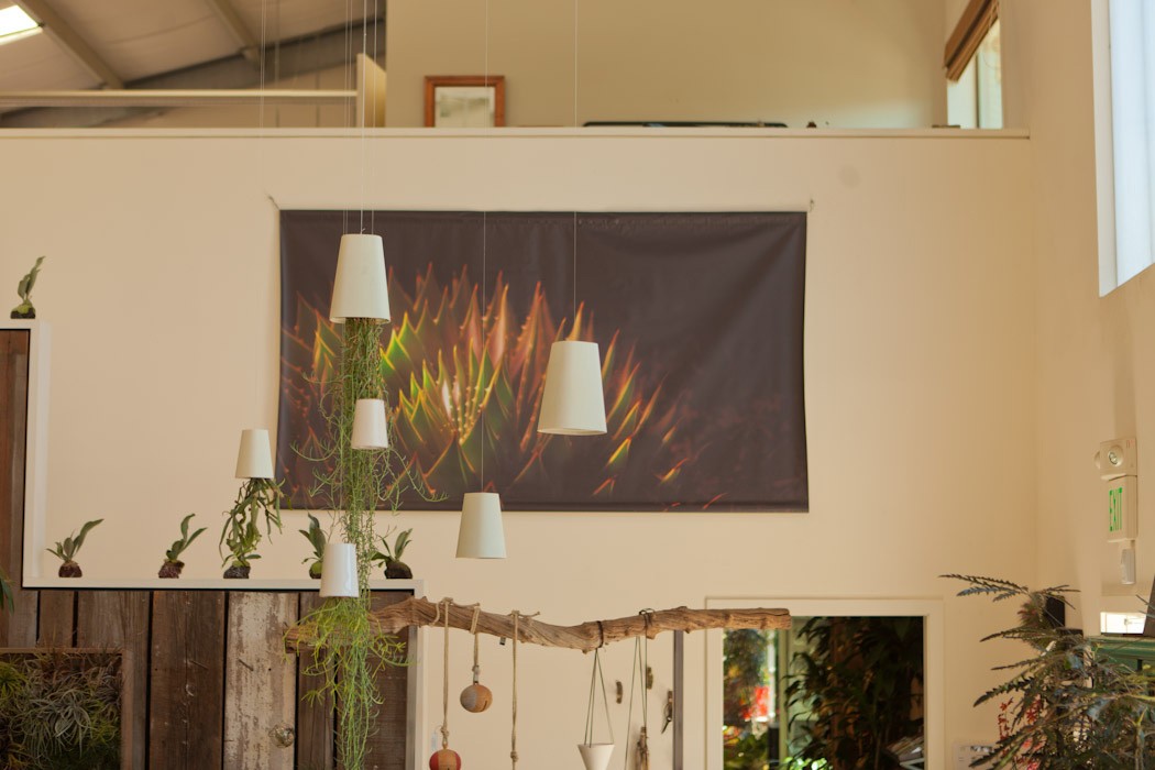 http://store.mbmaher.com/files/gimgs/th-4__MG_9783.jpg