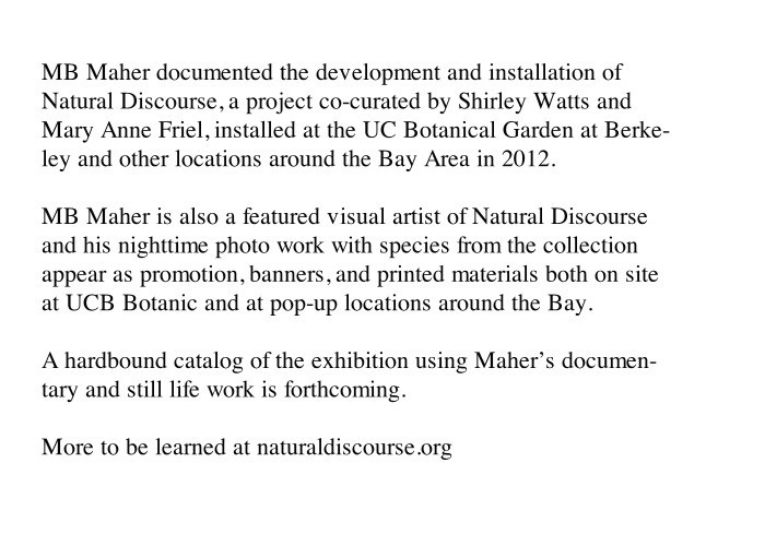 http://store.mbmaher.com/files/gimgs/th-4_natural.jpg